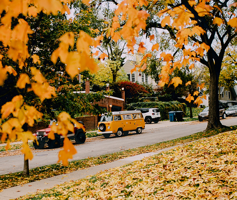 Beautiful tree-lined street with century-old homes
